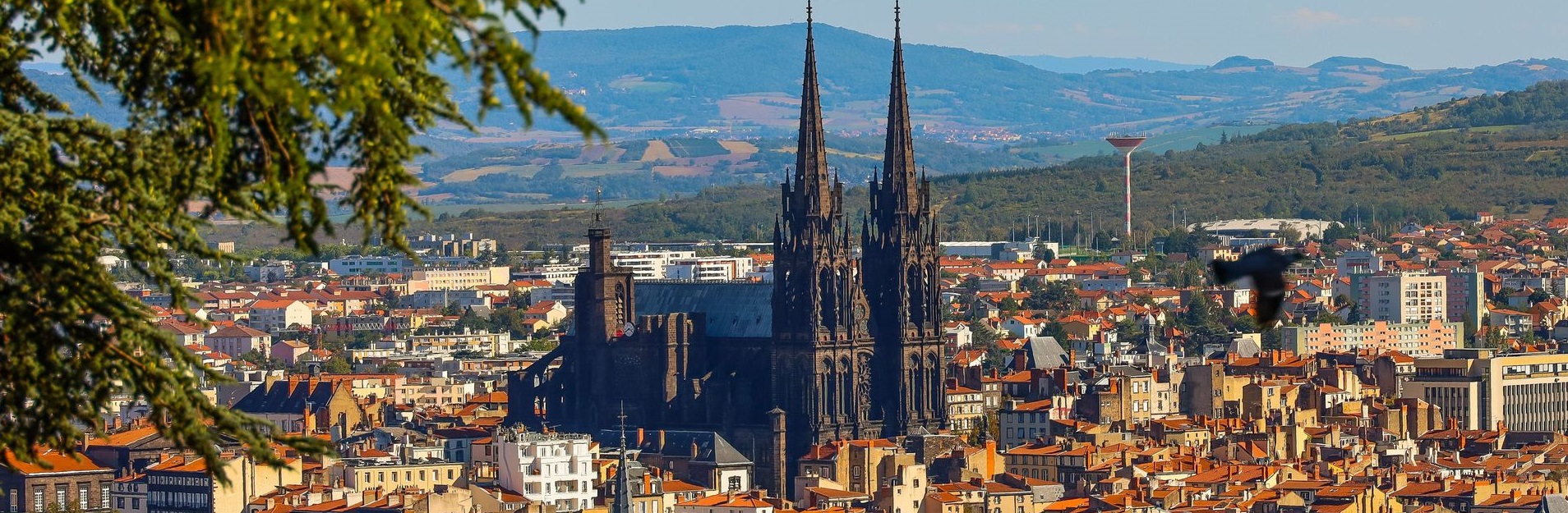 Bilan de compétences à Clermont-Ferrand pour profils atypiques en visio – HPI, burn-out, reconversion