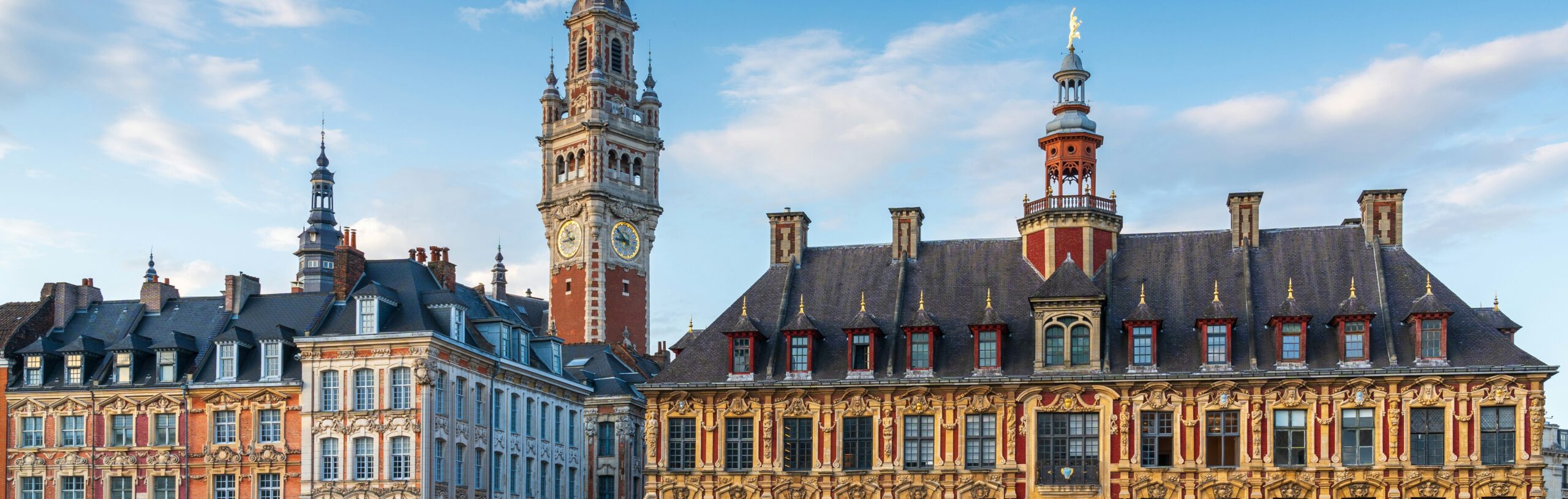 Bilan de compétences à Lille pour profils atypiques en visio – HPI, burn-out, reconversion