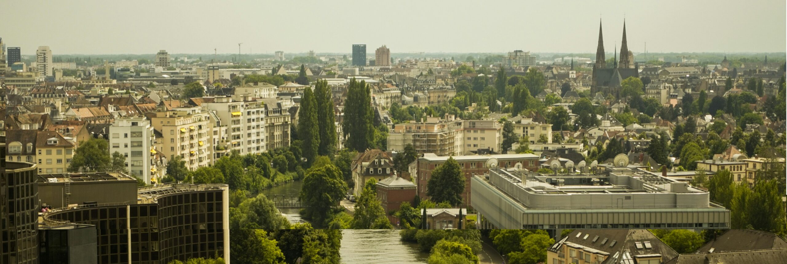 Bilan de compétences à Strasbourg pour profils atypiques en visio – HPI, burn-out, reconversion