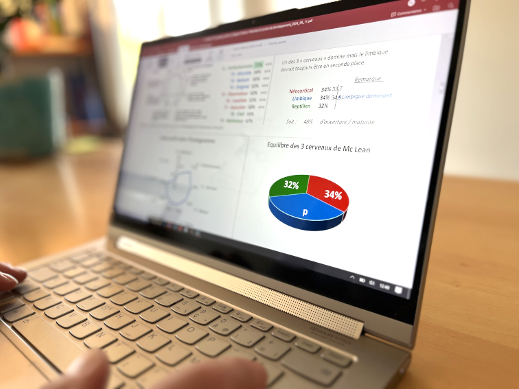 Tests psychométriques en ligne Stageos - bilan de compétences